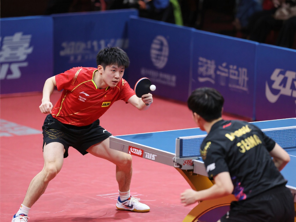 和稳定性 和稳定性